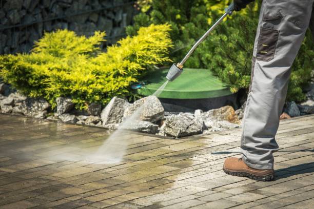 Best Pre-Holiday Cleaning  in Addison, IL