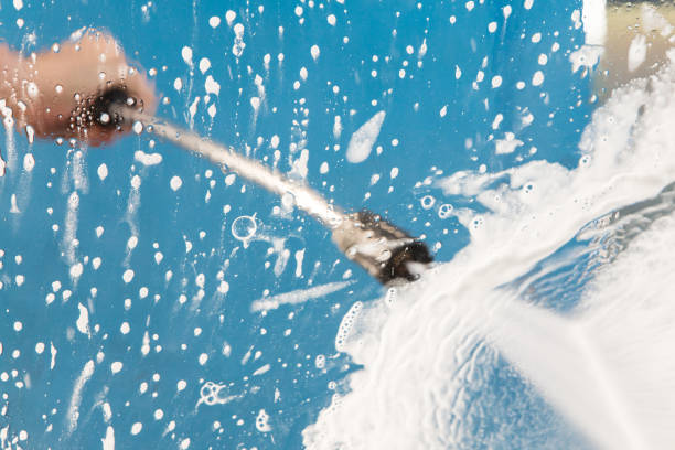 Best Animal Enclosure Cleaning  in Addison, IL